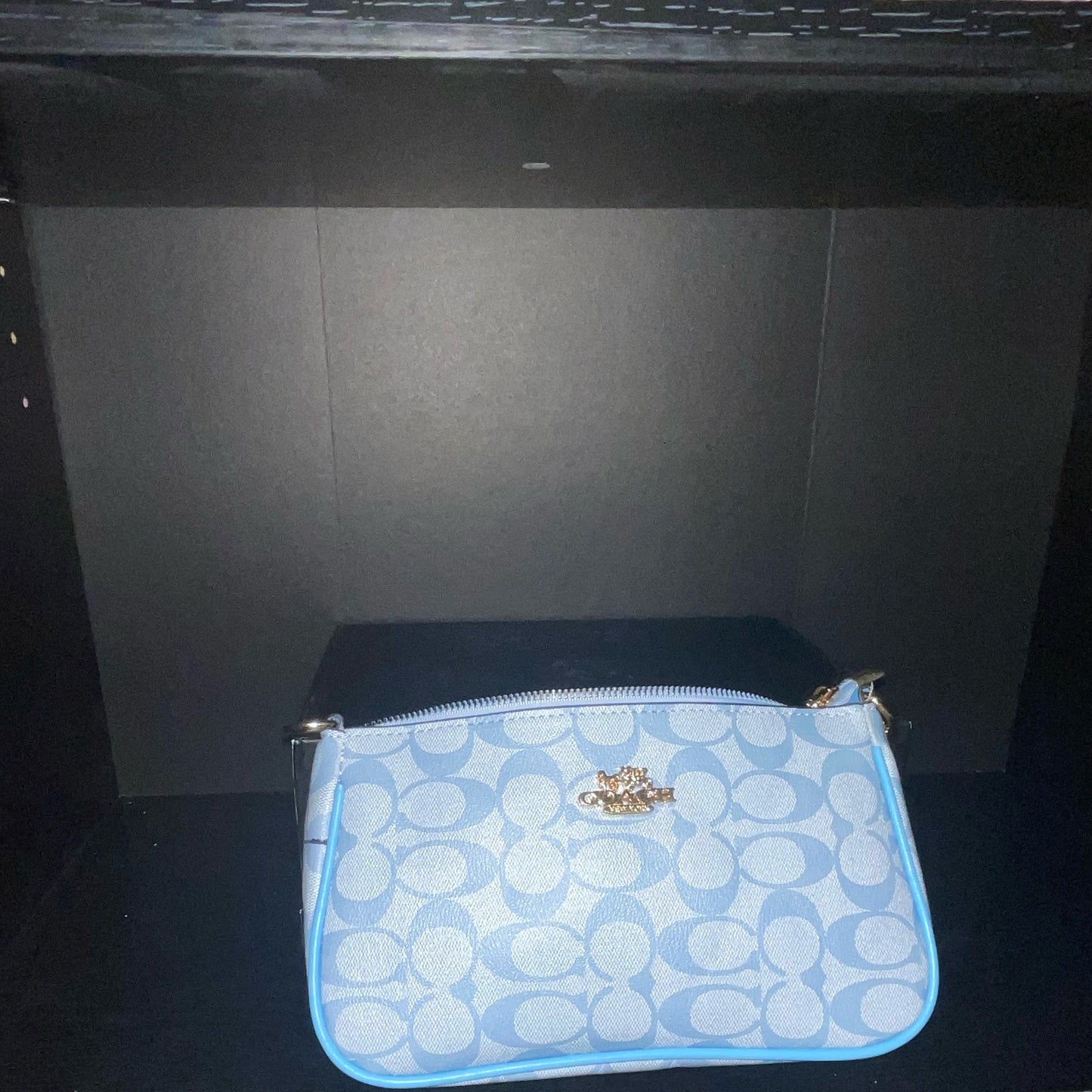Mini Blue Coach Purse